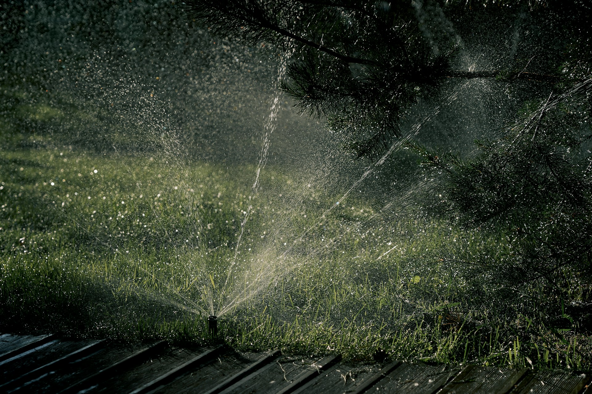 sprinkler